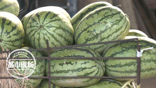 一天吃3瓜,健康生活新主张