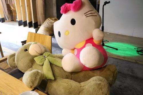 小鸡吃瓜公仔,趣味互动，萌宠乐园新体验