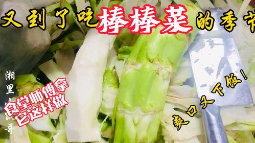 遂昌老师吃瓜,一场校园风波背后的真相与反思