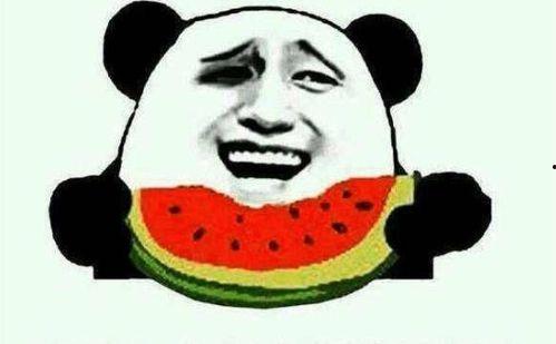 吃瓜文化传媒,揭秘娱乐圈幕后故事，带你领略娱乐风云