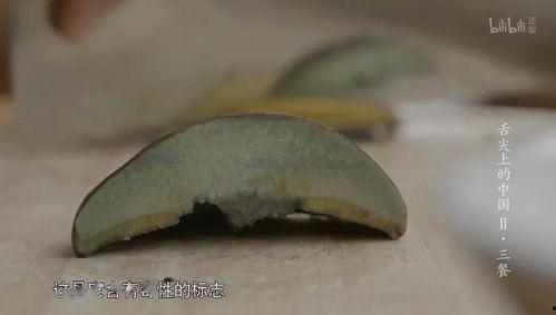 云南吃完瓜吃野生菌,从瓜果飘香到野生菌盛宴
