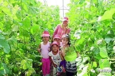 吃瓜源头怎么找,追踪网络八卦的起源之道