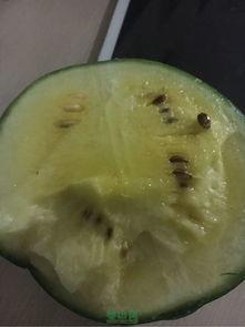 路过吃口瓜,品味人生百态——路过吃口瓜的美食之旅