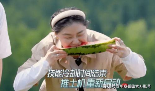 吃瓜小专家,吃瓜小专家带你领略明星幕后故事