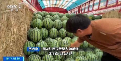 新加坡吃瓜自由,畅享“吃瓜自由”，品味多元美食文化