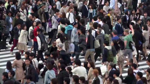 吃瓜群众出彩视频下载