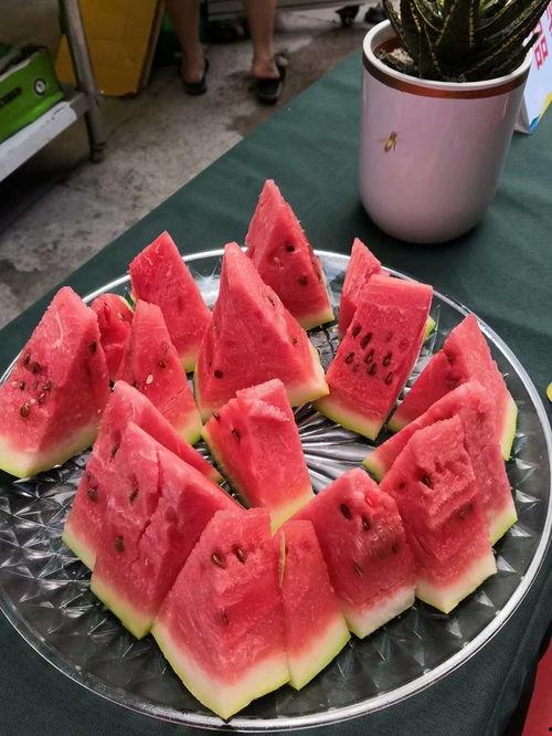 重庆财经吃瓜,吃瓜群众揭秘行业风云