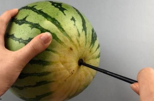 筷乐吃瓜,揭秘美食背后的趣味故事