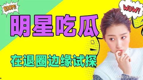 吃瓜圈最新动态,最新动态揭秘娱乐圈幕后真相