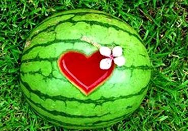 梦见吃瓜是,吃瓜背后的寓意与启示