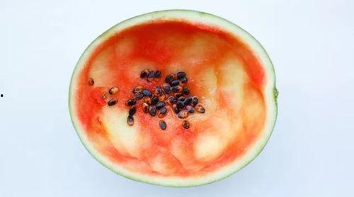 吃瓜便捷勺子,便捷勺子，轻松享受夏日清凉