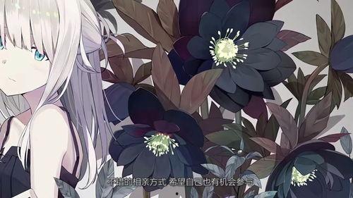 天蝎女吃瓜群众,揭秘吃瓜群众的独特魅力