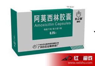 吃阿莫西林可以吃瓜吗,安全指南解析