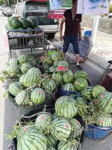 天津吃瓜大队事件