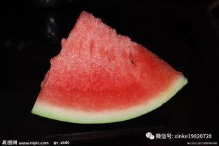 太和育才吃瓜,揭秘校园“吃瓜”背后的故事