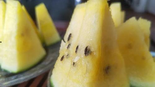 四次吃瓜,揭秘娱乐圈背后的风云变幻