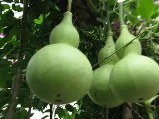 溪同学吃瓜,揭秘娱乐圈幕后故事