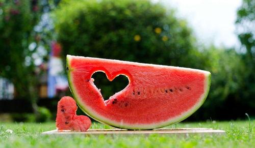 瓜瓜吃瓜好词好句,乐享好词好句盛宴