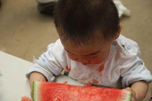 吃瓜唐僧,揭秘取经路上的趣味故事